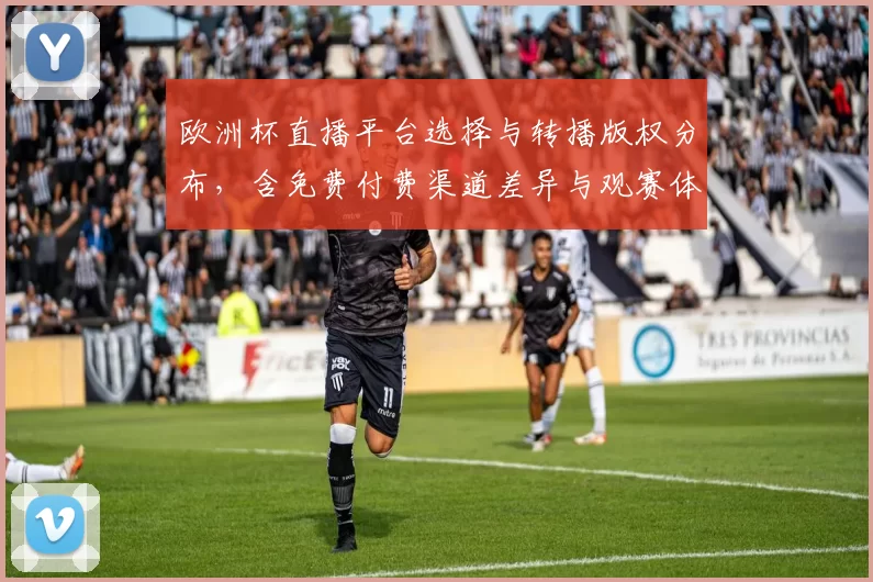 欧洲杯直播平台选择与转播版权分布,含免费付费渠道差异与观赛体验
