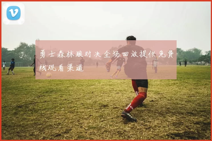 勇士森林狼对决全场回放提供免费线观看渠道