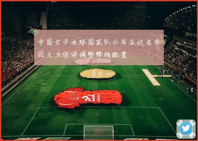 中国女子冰球国家队公布亚运名单因主力伤停调整锋线配置